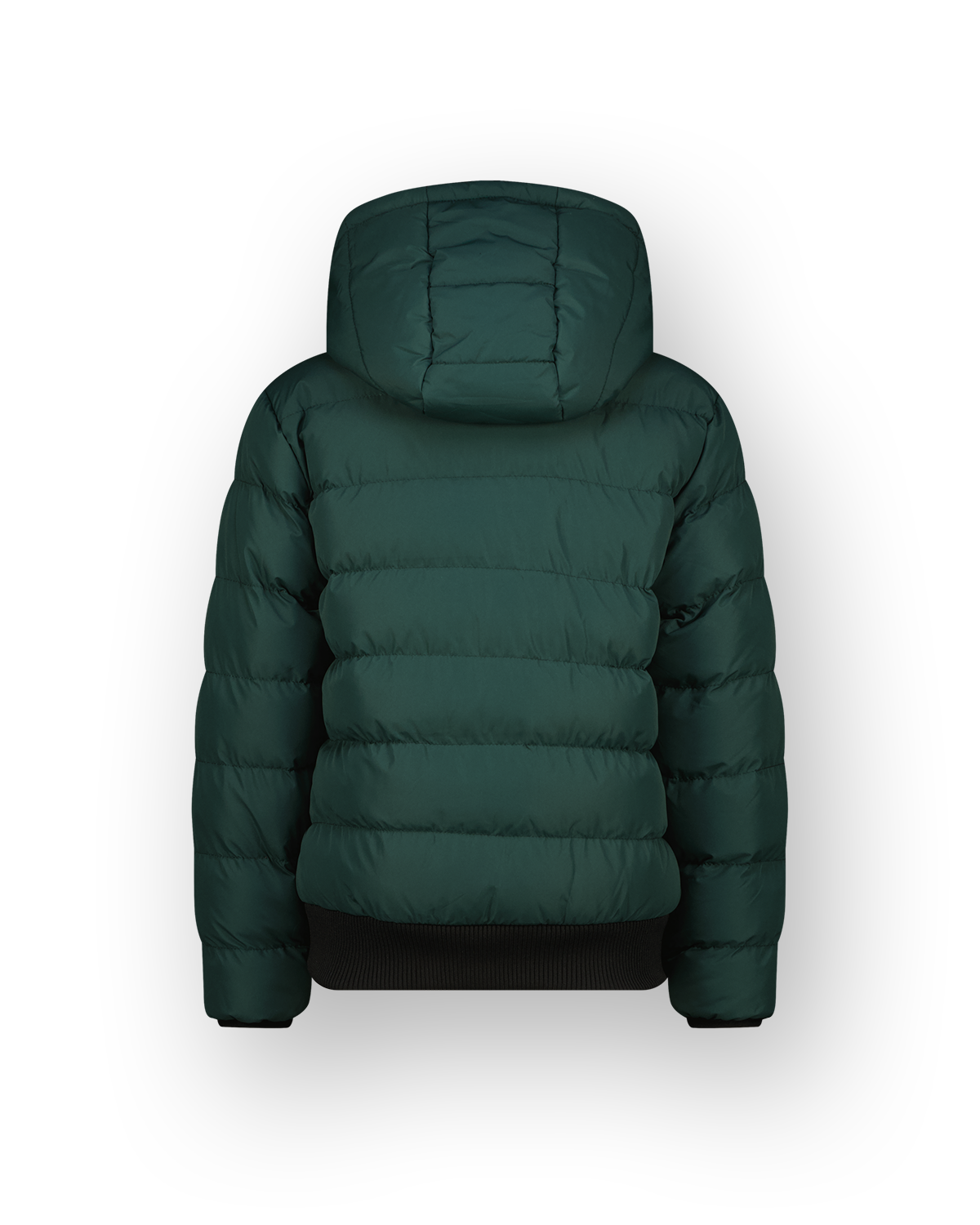 Hooded Jacket Tafreo